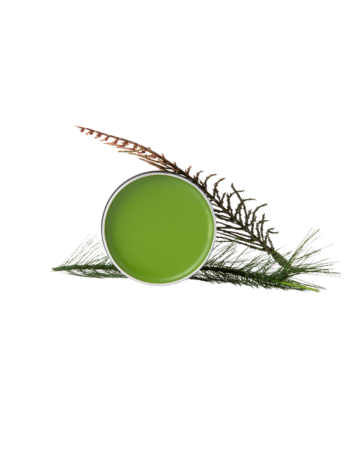 Hiker's Wound Salve for Wounds, Cuts, Bruises, Raw Skin, ect.