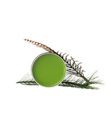 Hiker's Wound Salve for Wounds, Cuts, Bruises, Raw Skin, ect.
